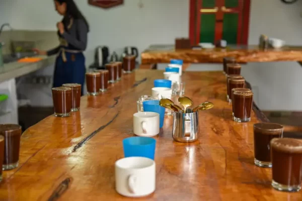 Coffee Tour Premium Español - Imagen 5