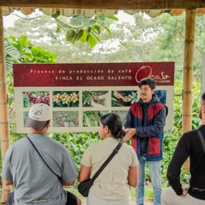 Coffee Tour Brewing Inglés