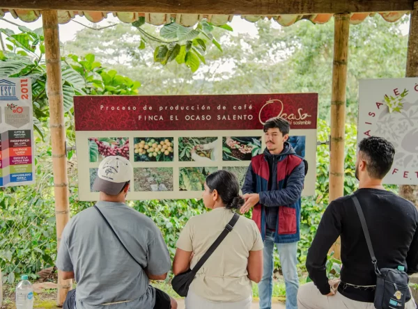 Coffee Tour Brewing Español