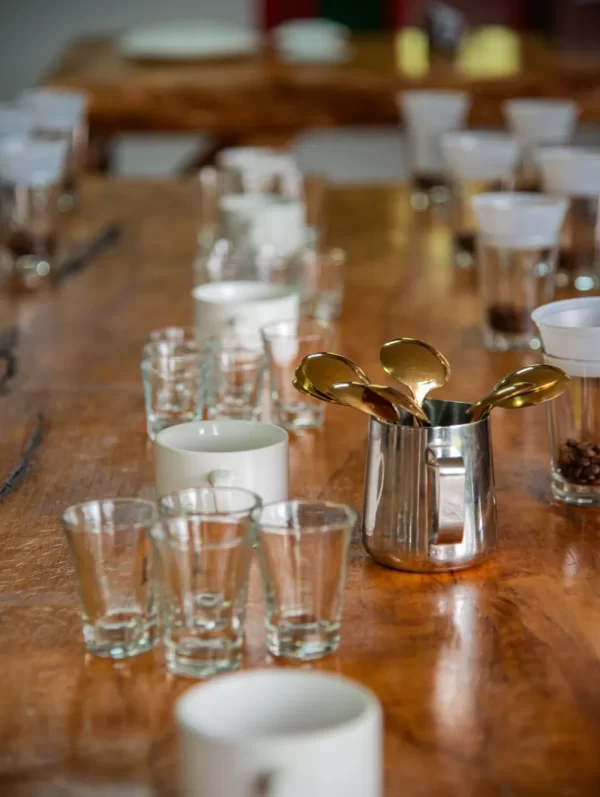 Coffee Tour Premium Inglés - Imagen 3