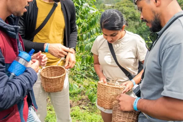 Coffee Tour Brewing Español - Imagen 4