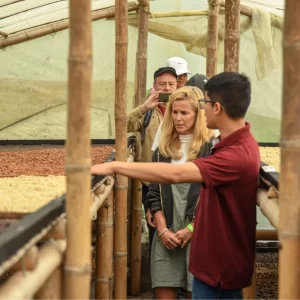 Coffee Tour Tradicional Inglés